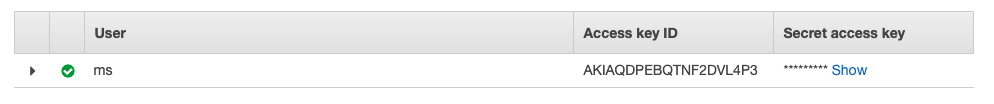 Screenshot of the IAM Access Keys from AWS